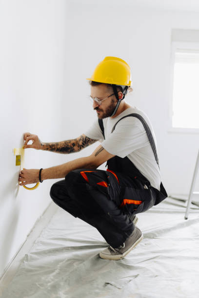 Reliable Lincolnwood, IL Dry wall and painting Solutions